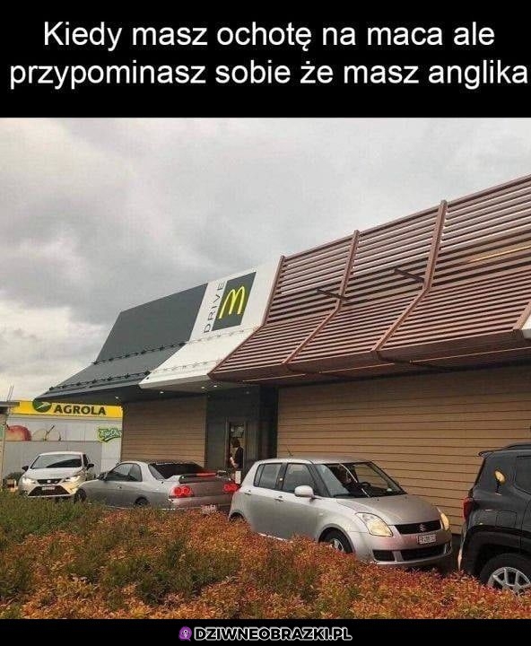 Kiedy masz anglika
