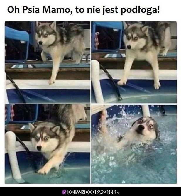 Ups