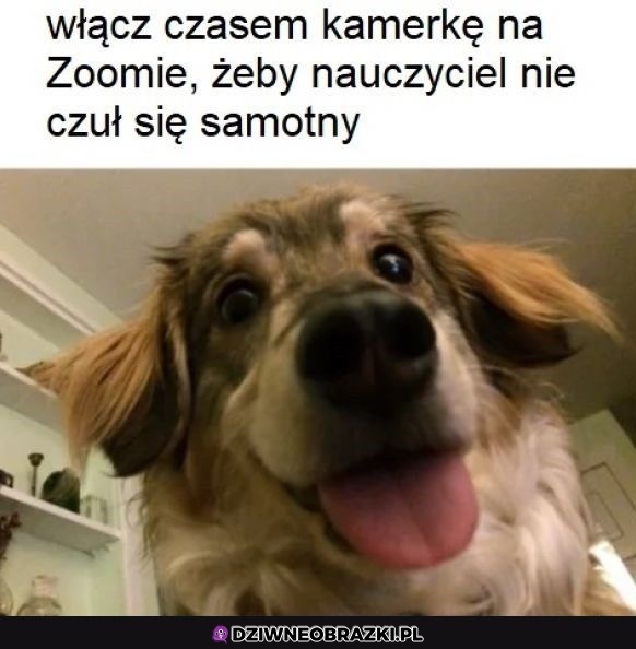 Zróbcie to