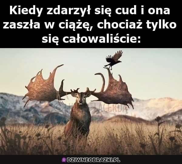 Ten moment Ten moment