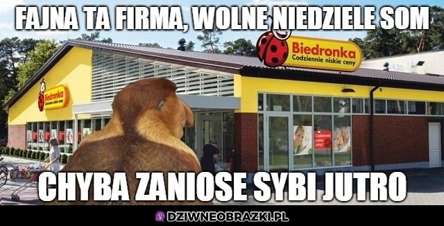 Fajna ta firma