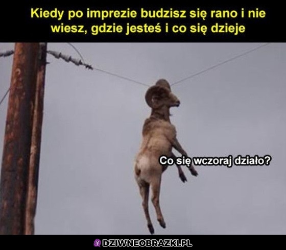Po imprezie