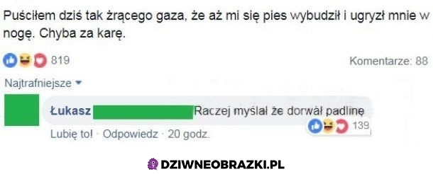 Kara za bąka