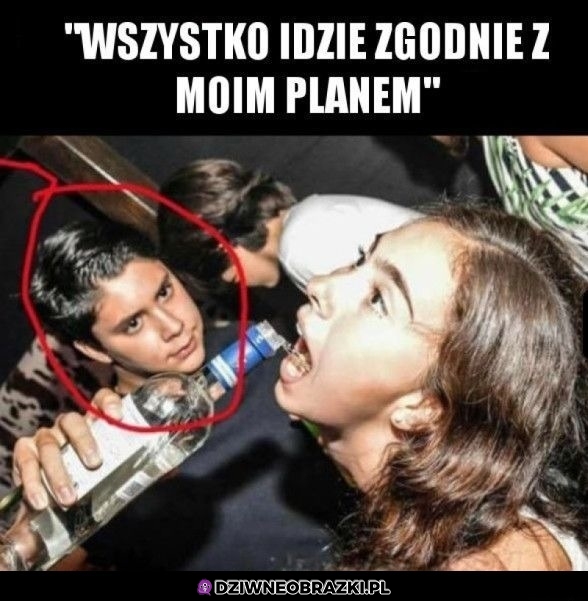 Idzie doskonale