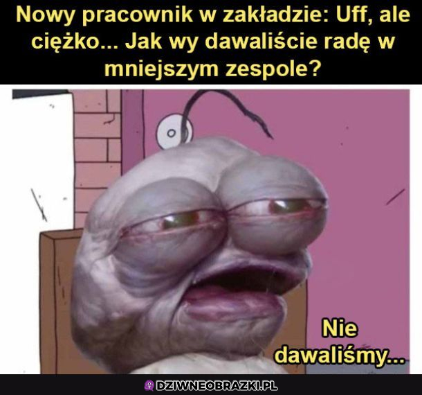 Starzy pracownicy