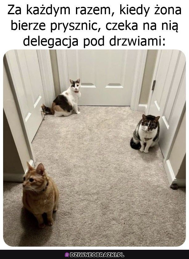 Delegacja prysznicowa