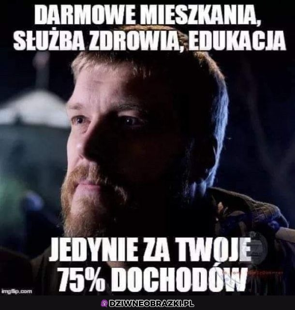 Nie, dziękuję.