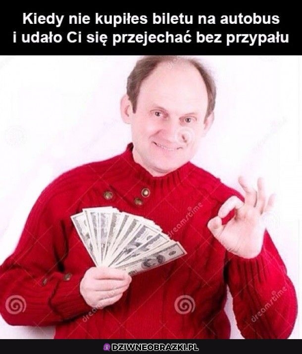 Bogactwo