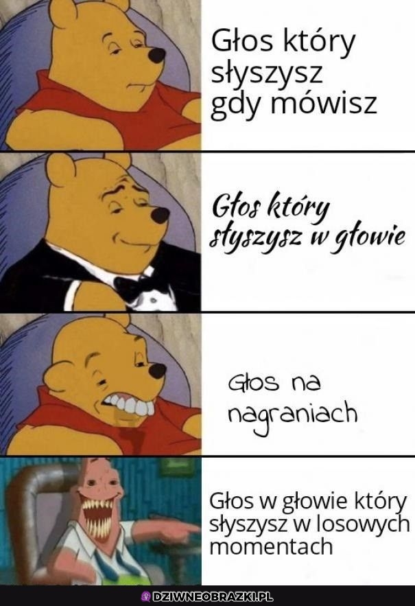 Tak właśnie brzmią te głosy