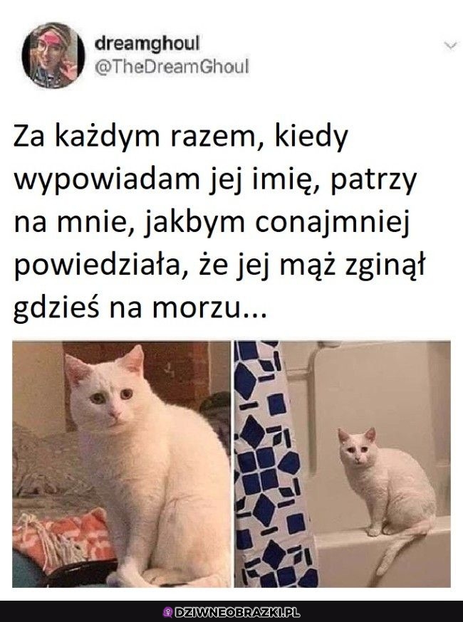 To spojrzenie