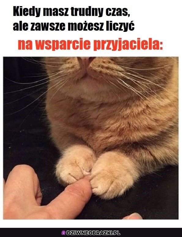 Najlepsze wsparcie