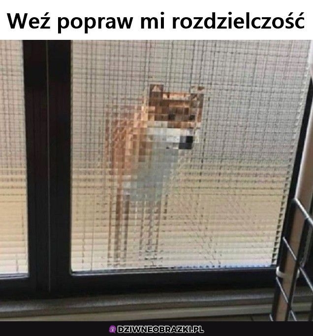 Rozpikselował się