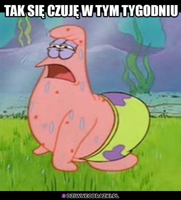 Mam już dość tego lata