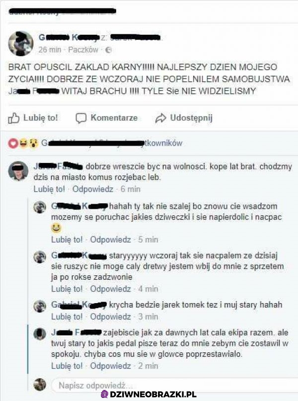 Ze screenshotem wśród zwierząt