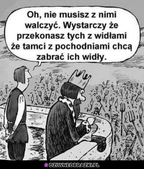 Dziel i rządź