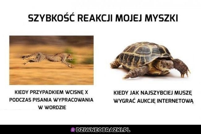 Szybkość reakcji Szybkość reakcji
