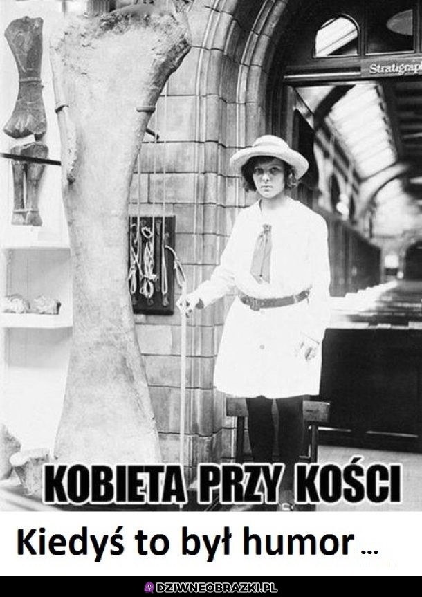 Archeologiczny sucharek