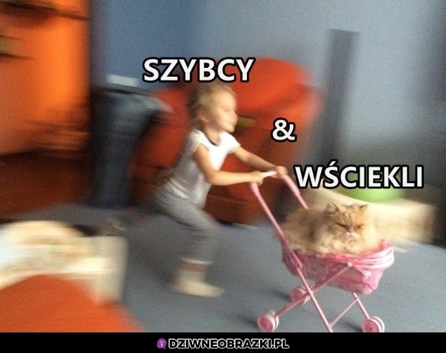 Taki ich wygląd