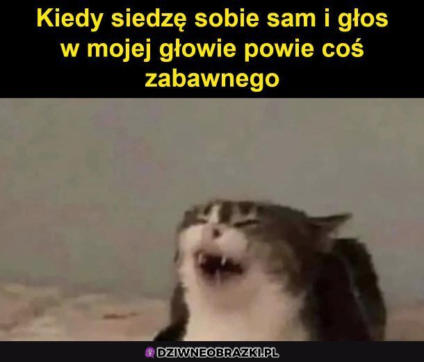 Heheszki