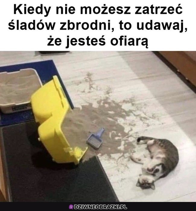 Jedyne wyjście