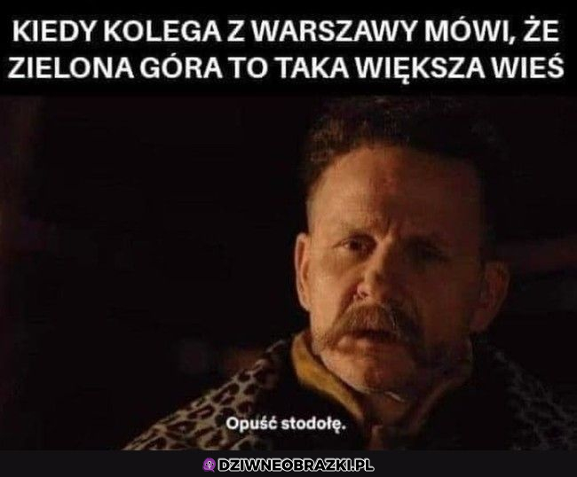 kolega warszawiak