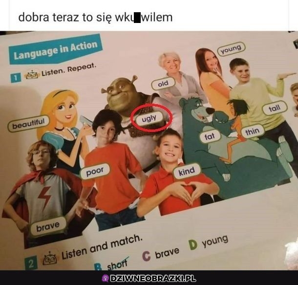 No bez jaj