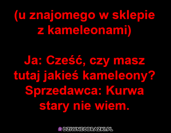 Kameleony