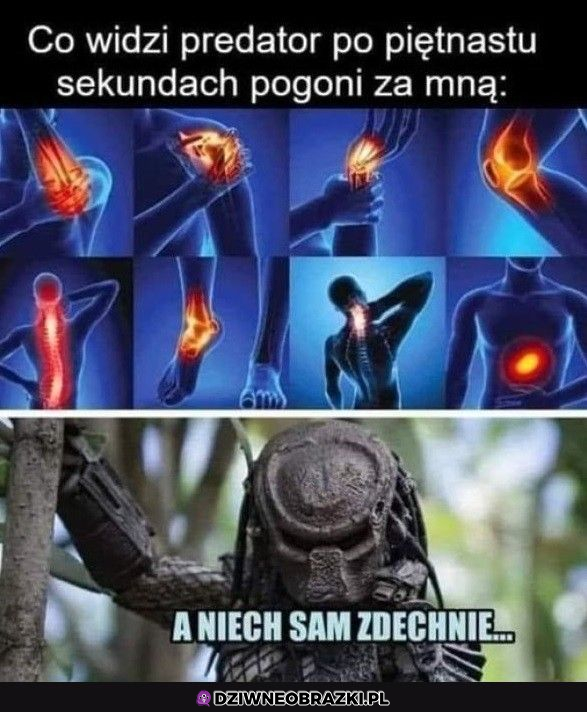 Nawet predator daje ci fory