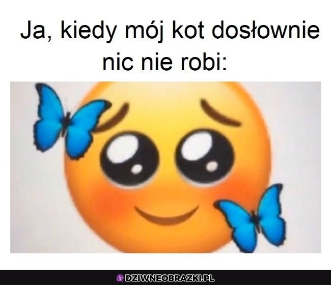 Zawsze