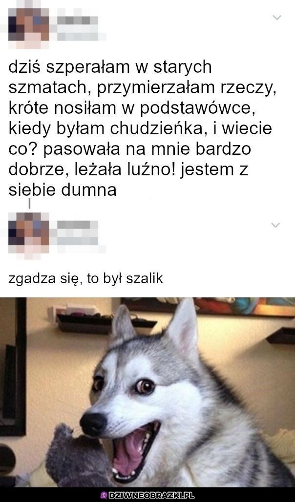 Pasowało doskonale