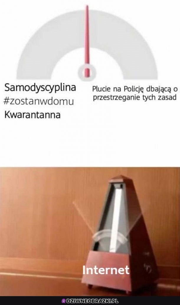 Tak to wygląda