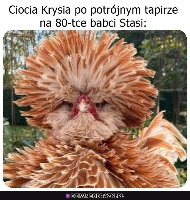 Kiedy ciotka wróci od fryzjera