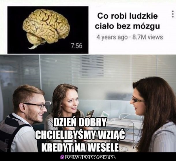 Ciało bez mózgu