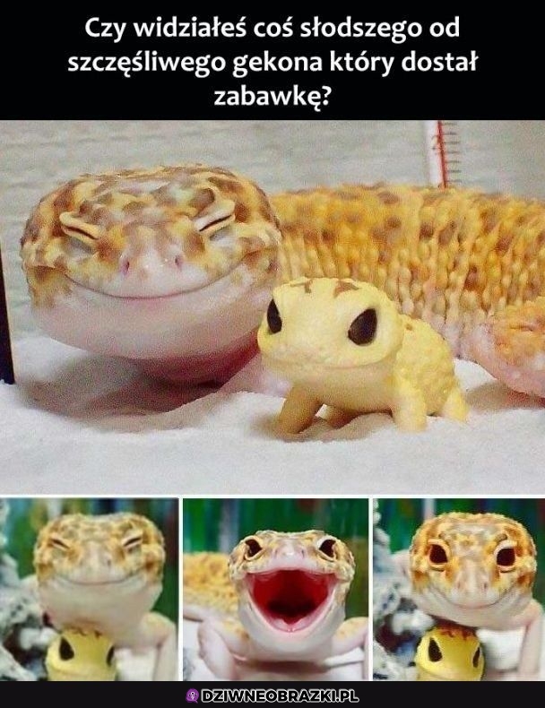 Słodziaczek