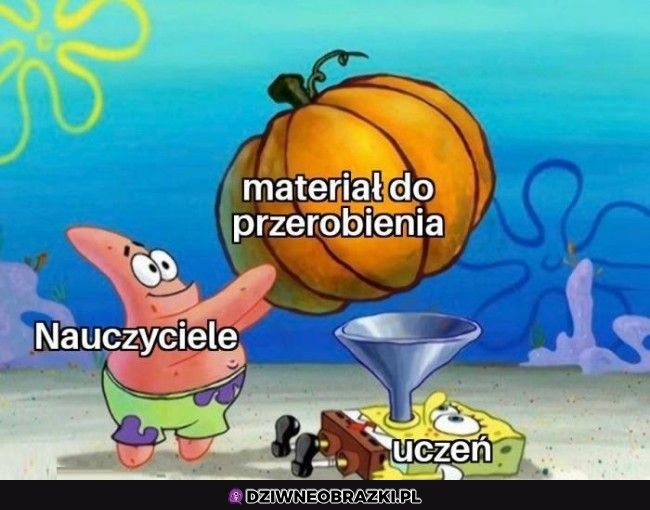 Materiał do przerobienia