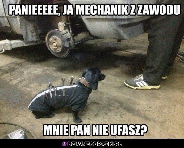 Mechanik