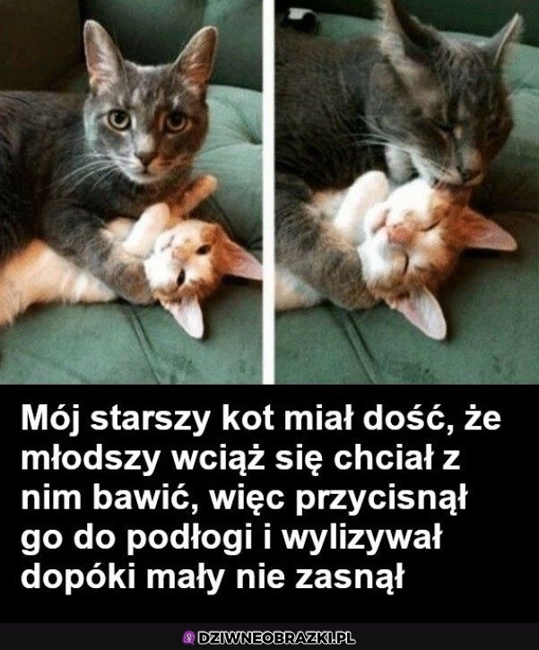 Ogarnięte