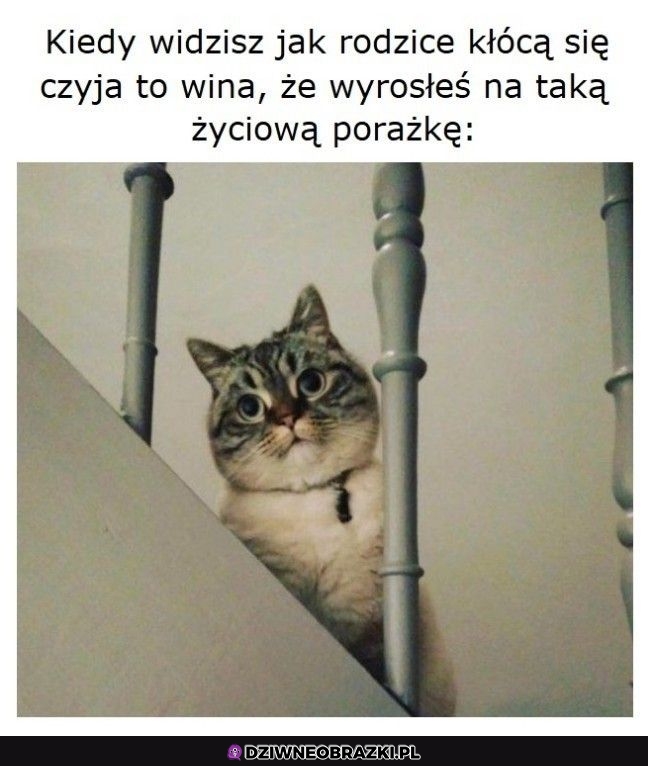 Ten moment