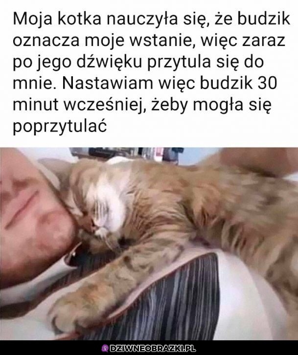 Tak trzeba żyć