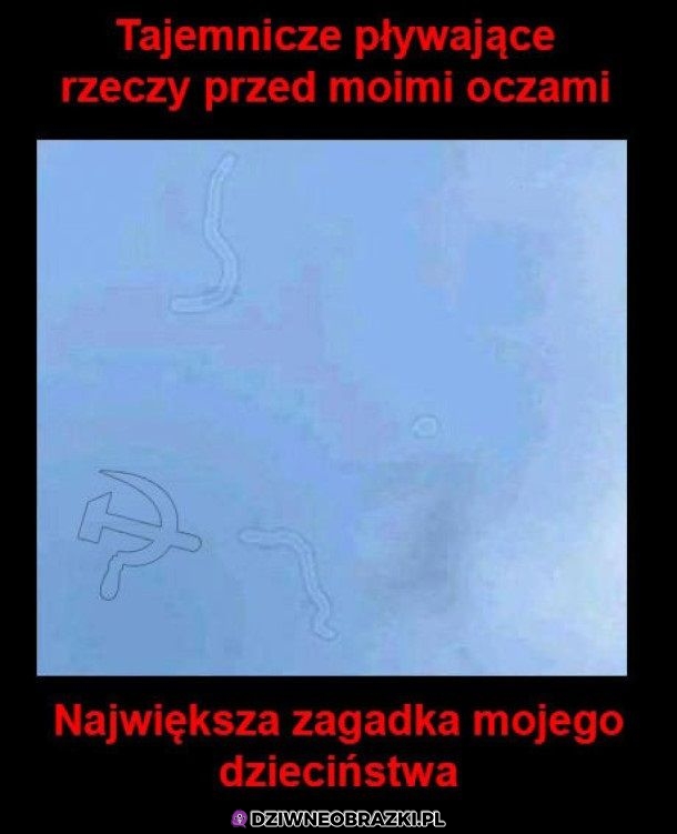 Rzeczy pływające przed oczami