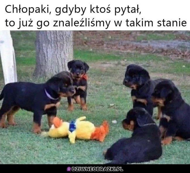 Jak coś to tak już leżał