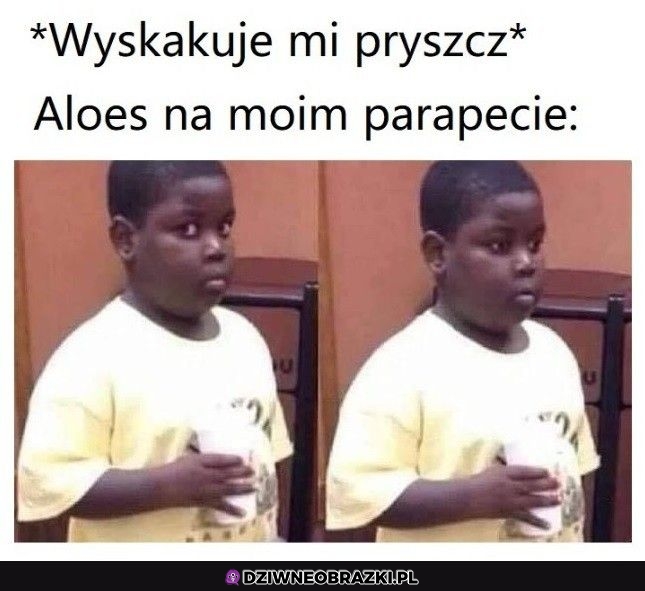 Już po nim