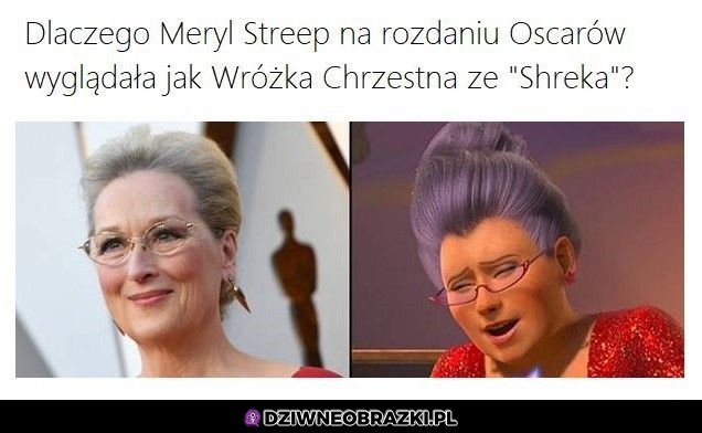 No kurczę podobna