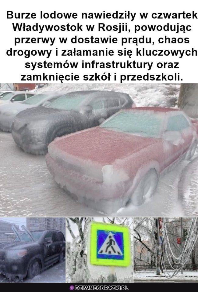 Grubo