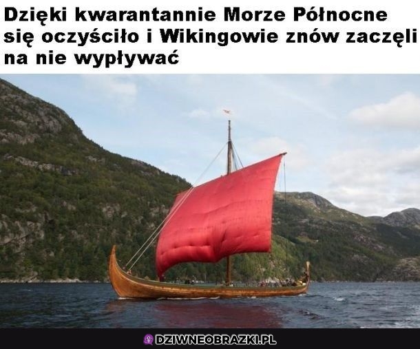 Chociaż tyle dobrego