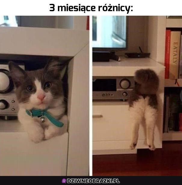 Trochę wyrósł
