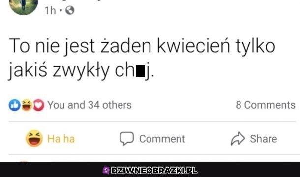 To prawda