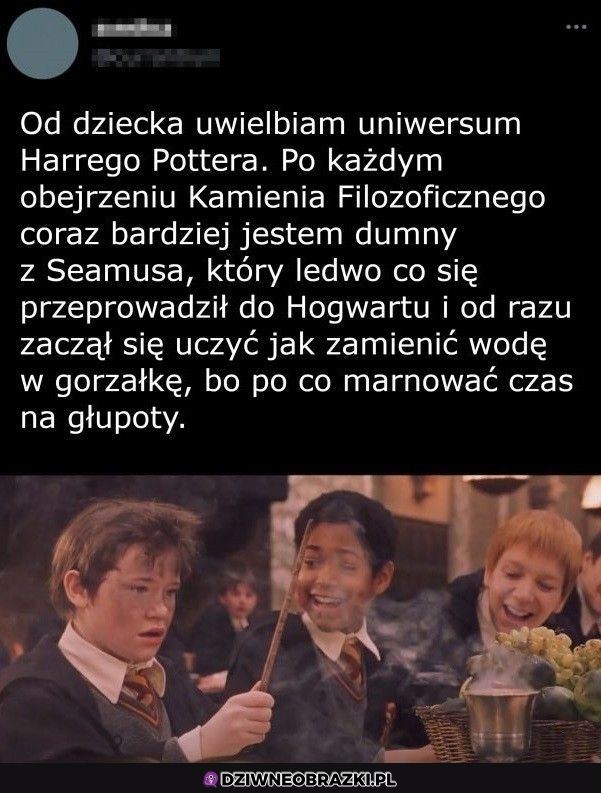 I to jest prawdziwa magia