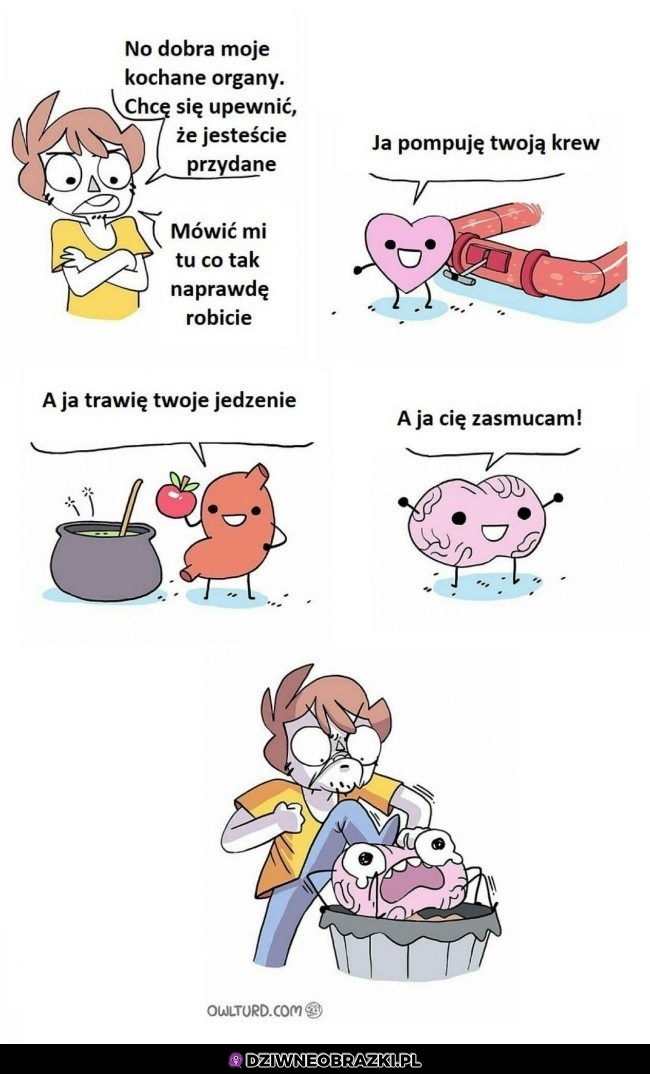 Organy