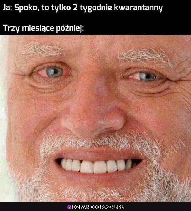 Spoko, tylko dwa tygodnie